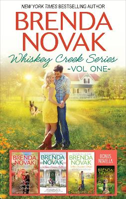 Book cover for Brenda Novak Whiskey Creek Series Vol 1/When We Touch/When Lightning Strikes/When Snow Falls/When Summer Comes