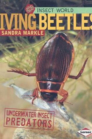 Cover of Diving Beetles