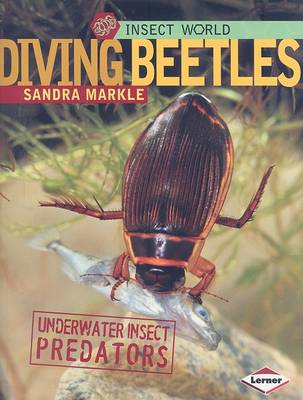 Book cover for Diving Beetles