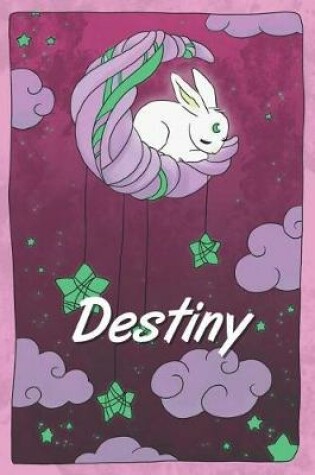 Cover of Destiny