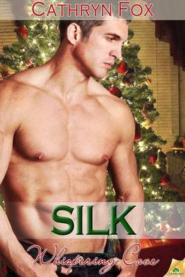 Book cover for Silk