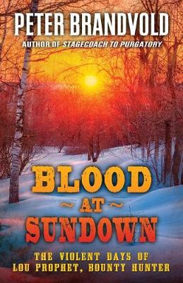 Book cover for Blood at Sundown