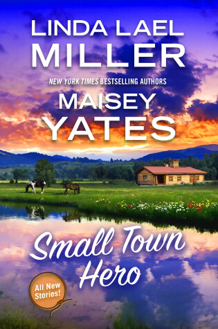 Cover of Small Town Hero