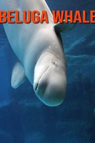 Cover of Beluga Whale