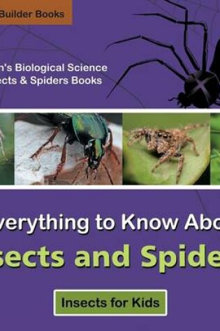 Cover of Everything to Know about Insects and Spiders! Insects for Kids - Children's Biological Science of Insects & Spiders Books