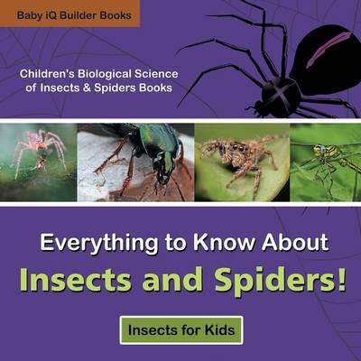 Book cover for Everything to Know about Insects and Spiders! Insects for Kids - Children's Biological Science of Insects & Spiders Books