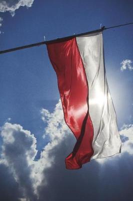 Book cover for Flag of Poland Blowing in the Wind Journal