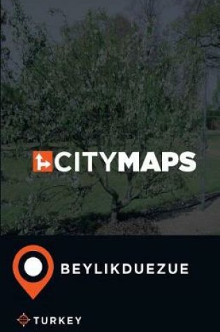 Cover of City Maps Beylikduezue Turkey