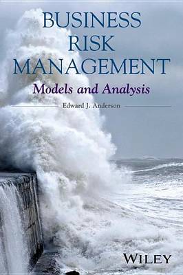 Book cover for Business Risk Management: Models and Analysis