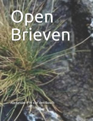 Book cover for Open Brieven