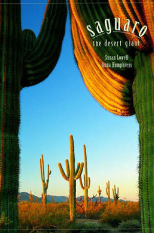 Cover of Saguaro