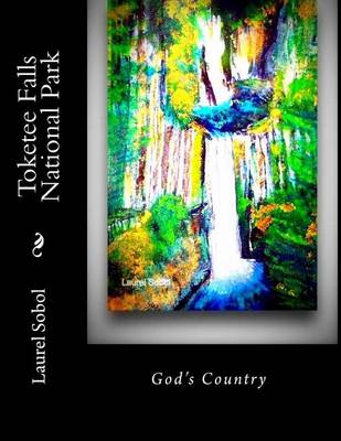 Book cover for Toketee Falls National Park