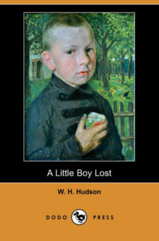 Cover of A Little Boy Lost (Dodo Press)