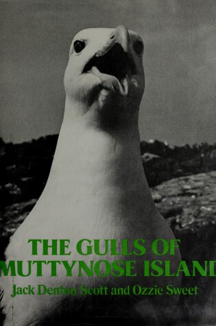 Cover of The Gulls of Smuttynose Island