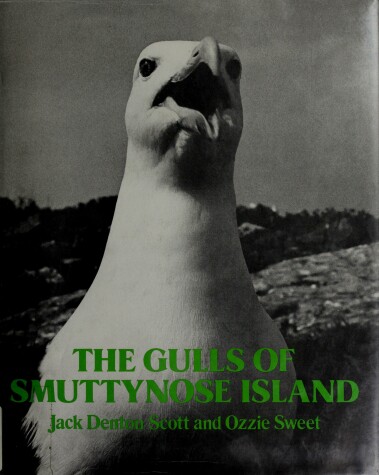 Book cover for The Gulls of Smuttynose Island