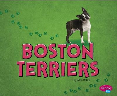 Book cover for Boston Terriers