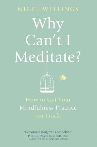 Cover of Why Can't I Meditate?