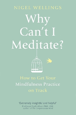 Book cover for Why Can't I Meditate?