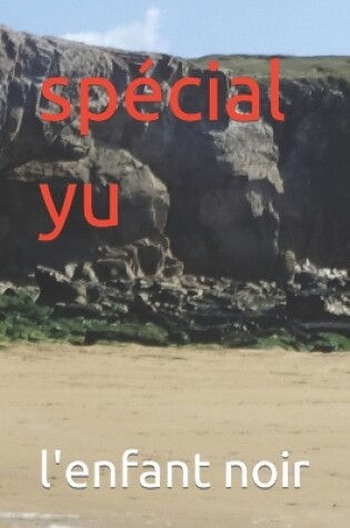 Cover of spécial yu