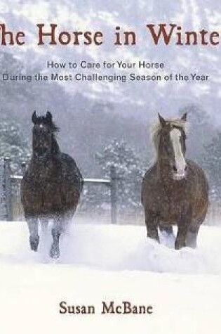 Cover of Horse in Winter