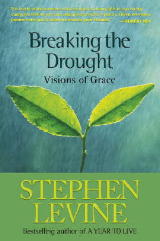 Cover of Breaking the Drought