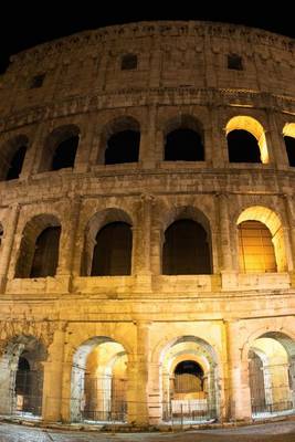 Book cover for The Roman Callusiuem Lit Up at Nigh