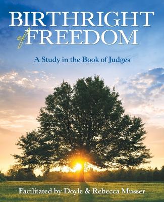 Book cover for Birthright of Freedom