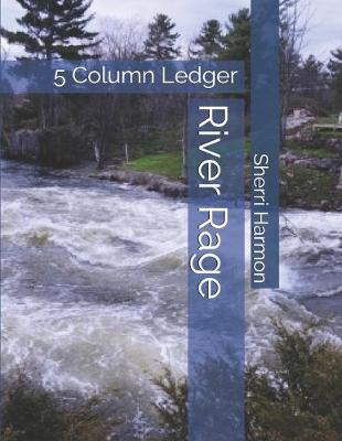 Book cover for River Rage