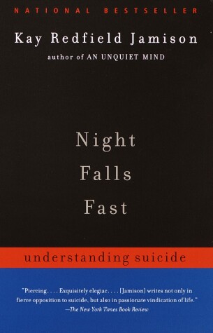 Book cover for Night Falls Fast