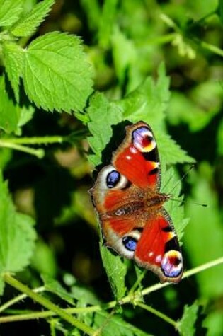 Cover of A Peacock Butterfly on Green Leaves, for the Love of Nature