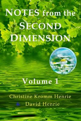 Book cover for Notes from the Second Dimension