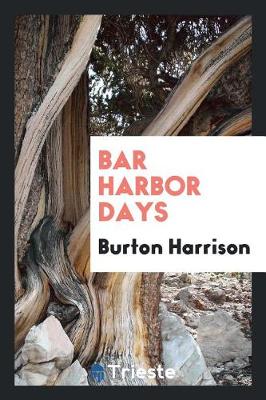 Book cover for Bar Harbor Days