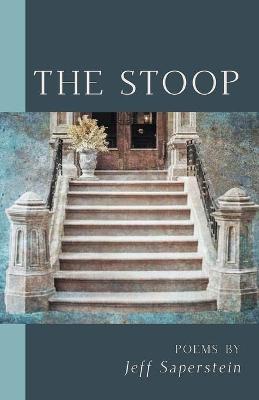 Book cover for The Stoop