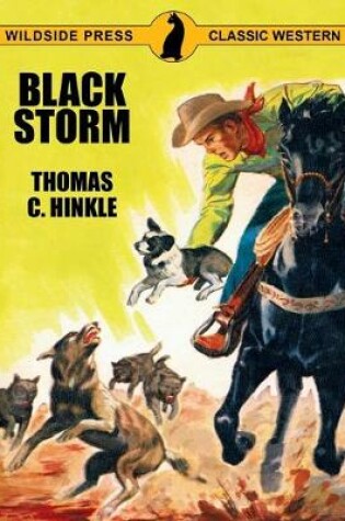 Cover of Black Storm
