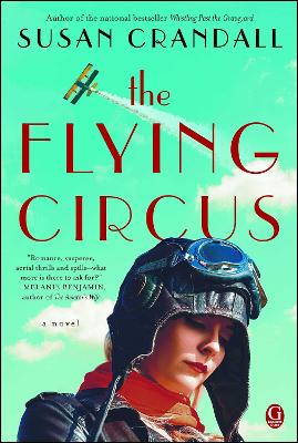 Book cover for The Flying Circus