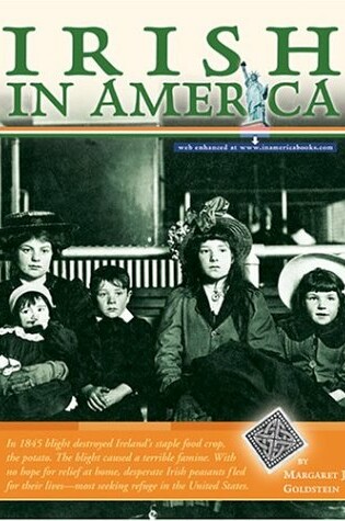 Cover of Irish in America