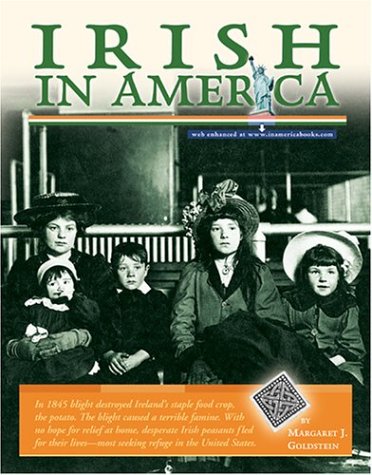 Book cover for Irish in America