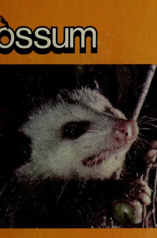 Cover of The Life Cycle of an Opossum