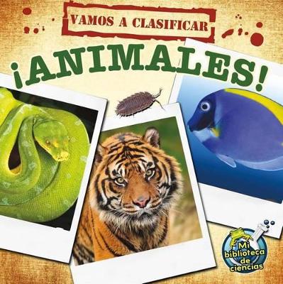 Book cover for Vamos a Clasificar Animales
