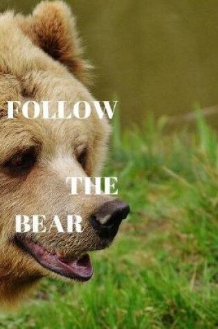 Cover of Follow the Bear