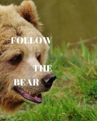 Book cover for Follow the Bear