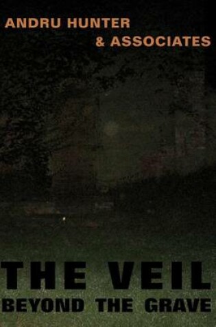 Cover of The Veil Beyond the Grave