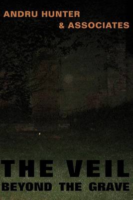 Book cover for The Veil Beyond the Grave