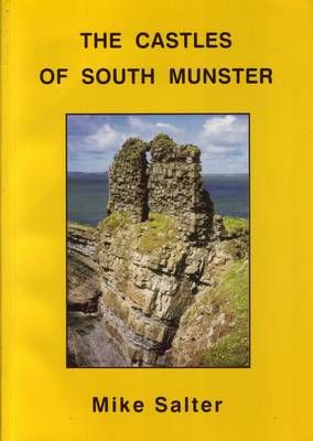 Book cover for The Castles of South Munster