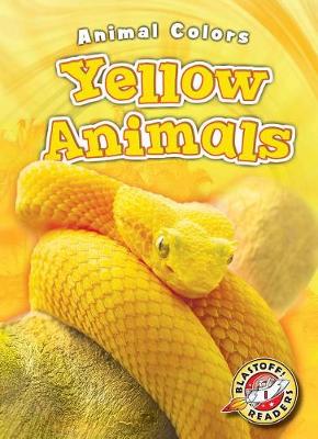 Book cover for Yellow Animals