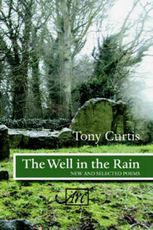 Cover of The Well in the Rain