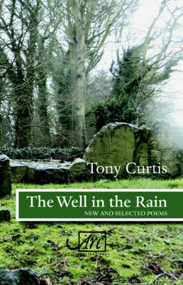Book cover for The Well in the Rain