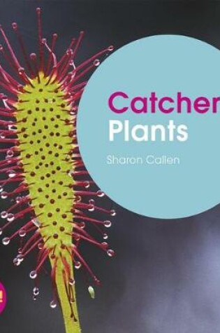 Cover of Catcher Plants