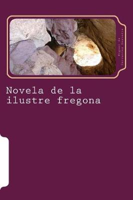 Book cover for Novela de la ilustre fregona