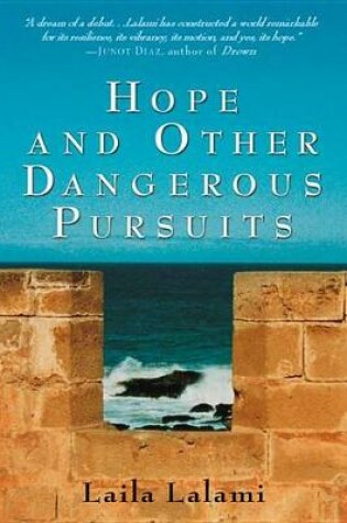 Cover of Hope and Other Dangerous Pursuits